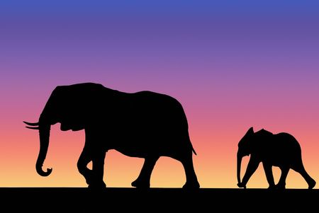 Elephant and baby walking in savannah on sunsetの写真素材