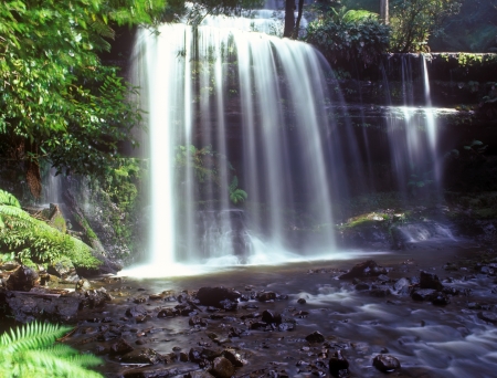 Russell Falls in Mount Field National Park Tasmaniaの写真素材