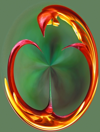 Oval background with green and red colorsの写真素材