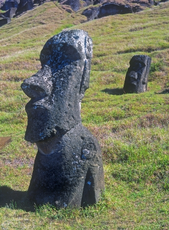 Moais of Ahu Akivi の写真素材