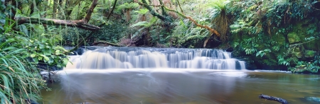 Panoramic view on wide jungle small waterfallの写真素材