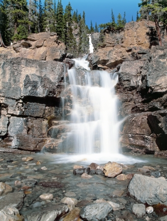 Tangle Falls  Banff National Park Alberta Canadaの写真素材