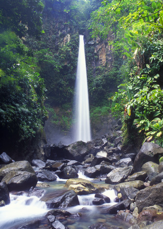 Sari Sari Falls Dominicaの写真素材