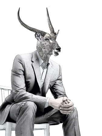 Office manager with animal headの写真素材