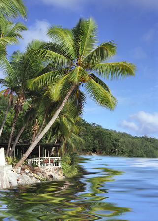 Coastline Seychellesの写真素材