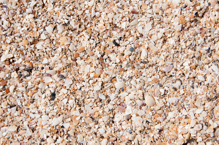 texture, shell rock, patternの写真素材