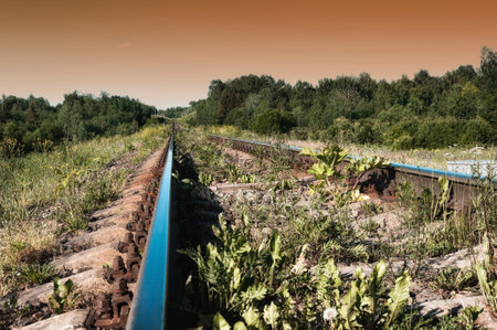 straight railway going into the distance in the evening.の写真素材