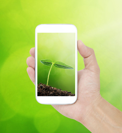 Hand holding smartphone on nature backgroundの写真素材