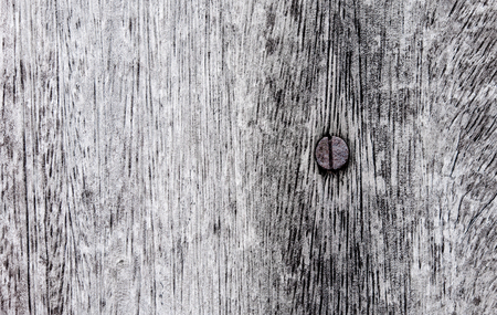 Nail on white wood texture surface background old wooden grey plank striped timber desk art abstract vintage style  Close upの写真素材