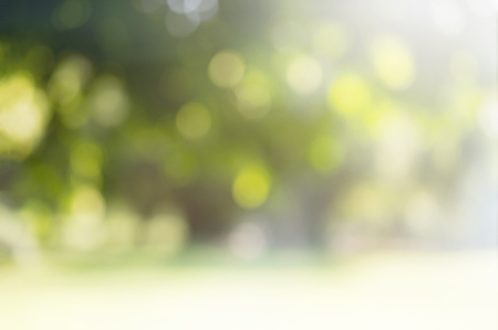 Green bokeh from tree and fleld lawn on nature defocus art abstract blur backgroundの写真素材