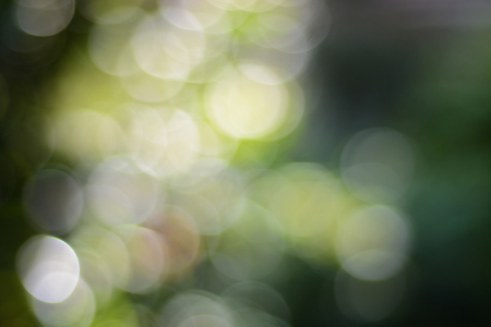 Green bokeh light and dark art abstract backgroundの写真素材