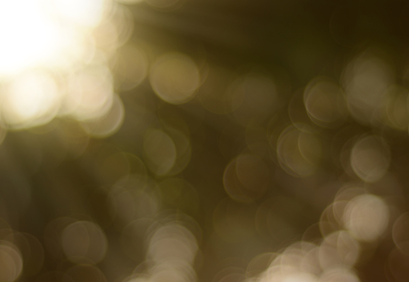 Green bokeh light abstract backgroundの写真素材