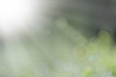Green bokeh abstract backgroundの写真素材