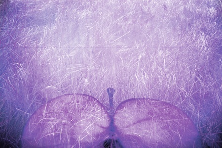 Bio grunge a texture. An abstract background, an apple in a grass, violet color.の写真素材