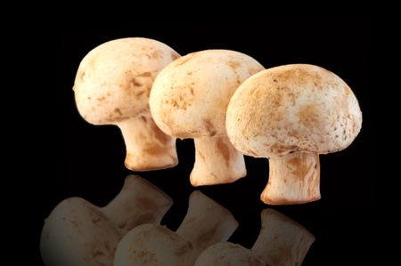 three fresh field mushrooms isolated on a black background. Champignonsの写真素材