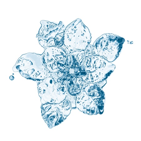 water flower splashes isolated on whiteの写真素材