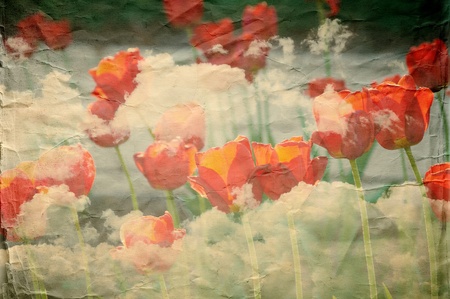 Grunge paper texture.  abstract nature backgroundの写真素材