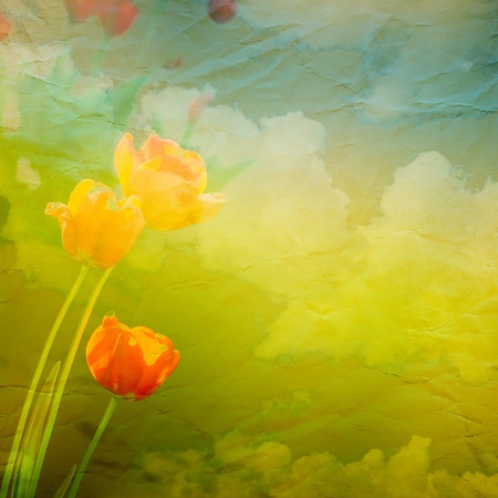 Grunge paper texture.  abstract nature backgroundの写真素材