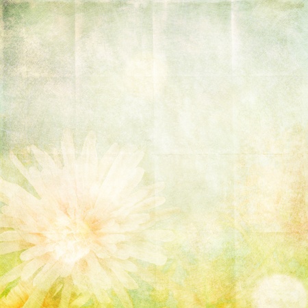 Grunge paper texture.  abstract nature backgroundの写真素材