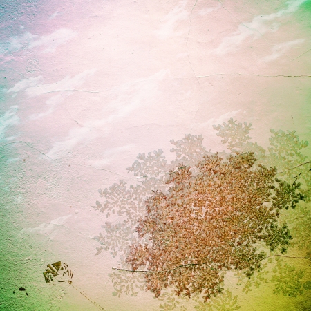 Grunge paper texture   abstract nature backgroundの写真素材