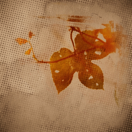 vintage paper texture, nature leaves backgroundの写真素材