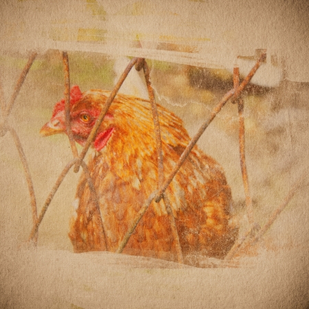 grunge  paper texture, distressed backgroundの写真素材