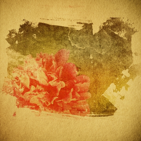 vintage paper texture, nature flowers backgroundの写真素材
