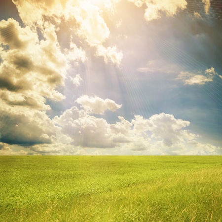 Green Field Landscape, White Clover Meadowの写真素材