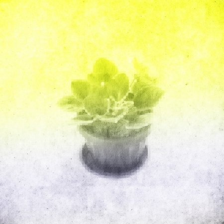 vintage paper texture, abstract grunge backgroundの写真素材