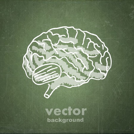 school sketches on blackboard, brain vector backgroundのイラスト素材