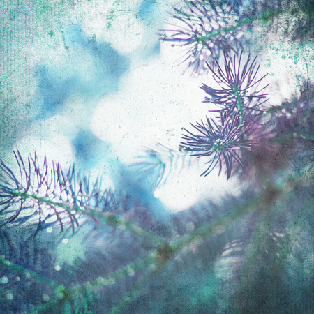 natural background on grunge vintage paper textureの写真素材