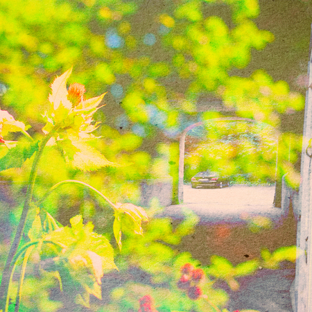 Fantasy Ecology Abstract Background. Urban Landscape Mixed with the Natural on Paper Texture. Vintage Retro Styleの写真素材