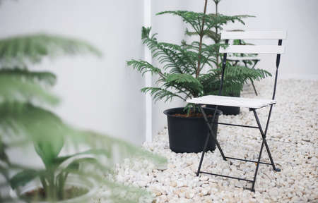 white chair with black steel frame on gravel floor with tree in pot in the gardenの写真素材