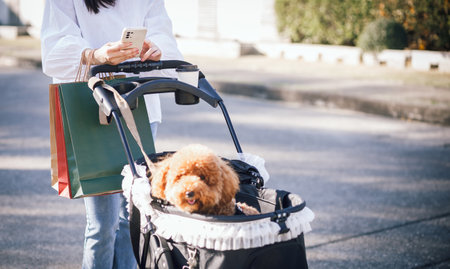 Young asian woman using mobile phone with shopping bag after shopping in her holiday with dog in cartの写真素材