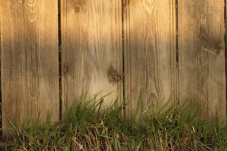 Wooden fence and sprouting grassの写真素材