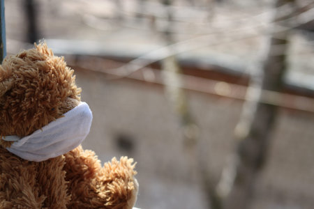 toy bear in a mask