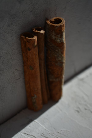 Creative photography. three sticks of cinnamon. Hard light. Vertical imageの写真素材