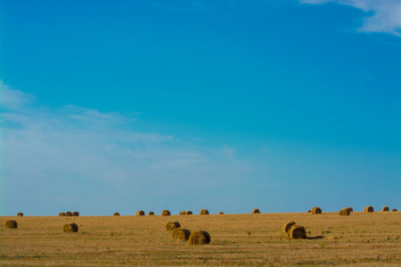 against the blue sky and a field , a bale of hay. beautiful landscape with rural areaの写真素材