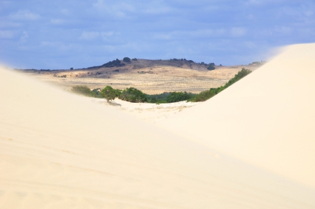 The desert の写真素材