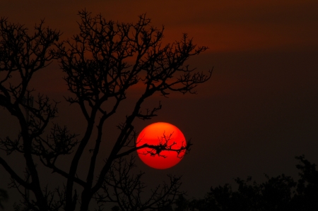 sunset imageの写真素材