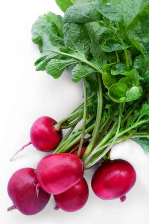 freshly radish harvest isolated on white. Healthy organic food, vegetables, agriculture. Abstract doos background isolatedの写真素材