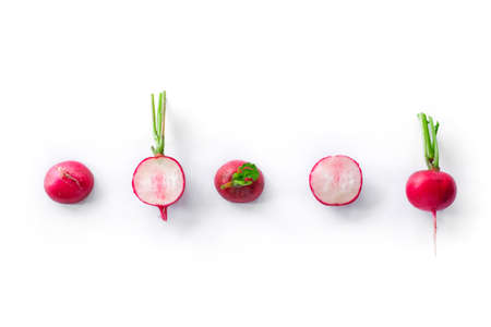 freshly radish harvest isolated on white. Healthy organic food, vegetables, agriculture. Abstract doos background isolatedの写真素材