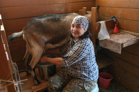 Female farmer milking goat.の写真素材