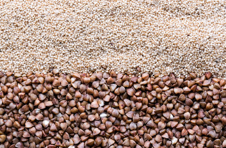 buckwheat. fresh buckwheat. dry buckwheat background. buckwheat texture