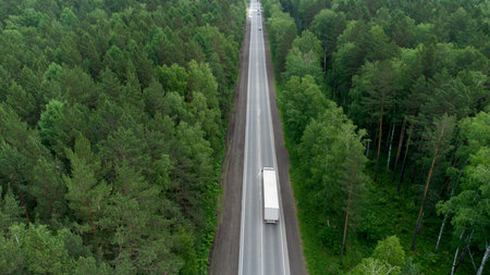 Aerial view of green forest and red car on the road. bird's eye. travel concept.