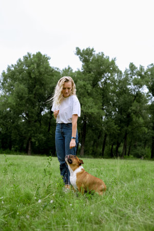 young blond woman training with English Bulldog at parkの写真素材