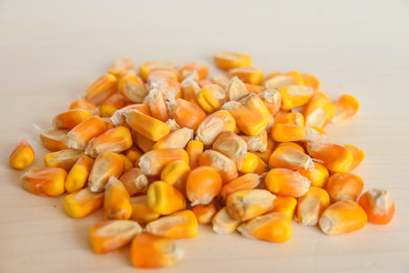 corn kernels