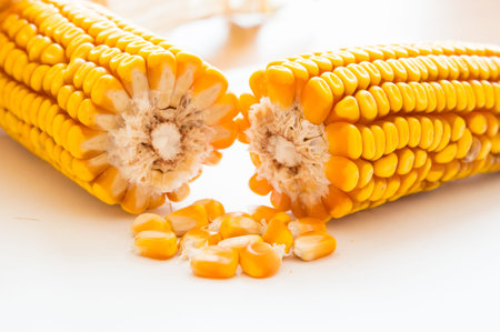 corn cobs