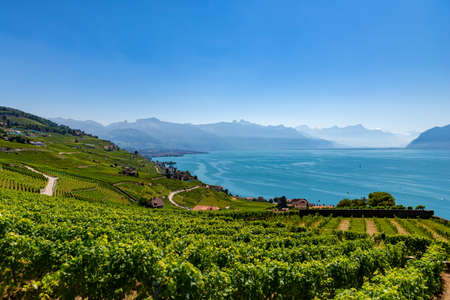 Vineyards on Lake Geneva, excursions and itineraries among the vineyards, panorama on Lake Geneva.の写真素材