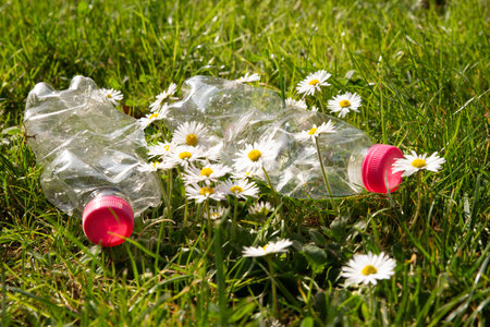 Transparent plastic bottles, abandoned in the environment. Plastic pollution and recycling.